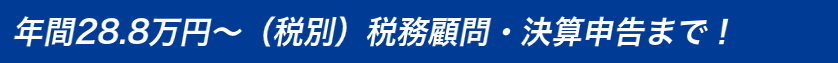 年間28.8万円〜（税別）税務顧問・決算申告まで！